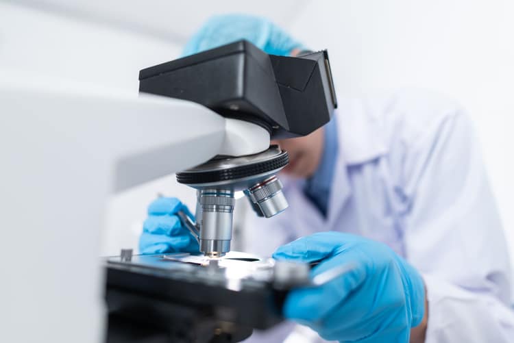 Researcher examining a sample under a laboratory microscope